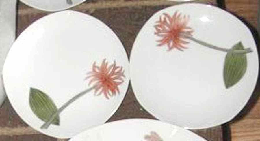 N3496 Dessert/Pie Plate by Noritake-1