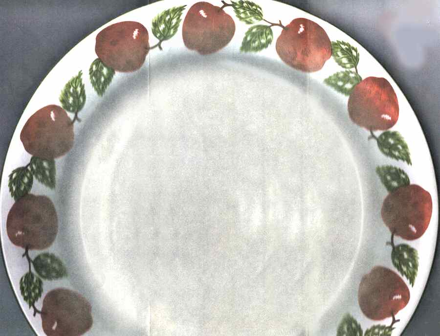 Washington County Dinner Plate by Newcor-1