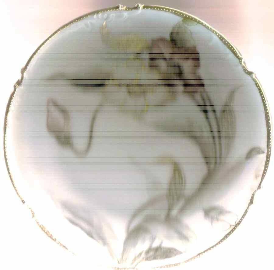 NIP213 Salad Plate by Nippon-1
