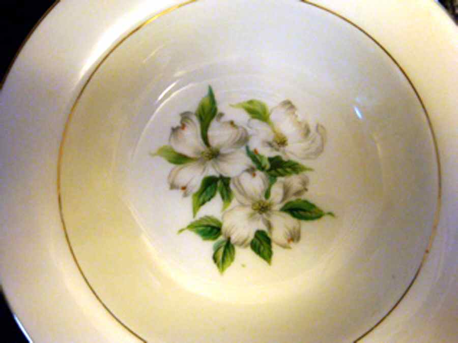 N3538 Dinner Plate by Noritake-1