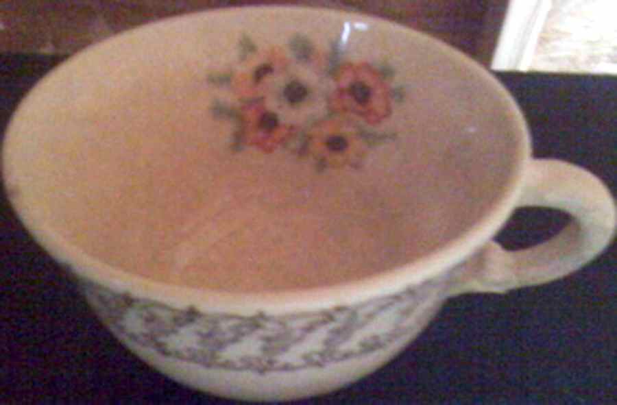 NAC20 Flat Cup by Nasco China (USA)-1