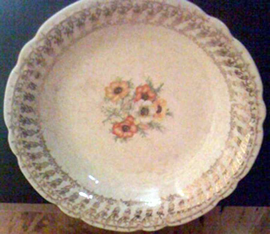 NAC20 Coupe Cereal Bowl by Nasco China (USA)-1