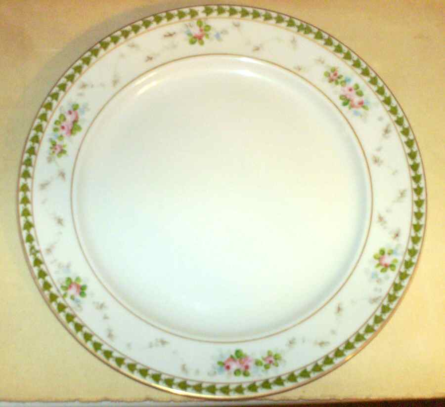 NAG60 Dinner Plate by Nagoya Shokai-1