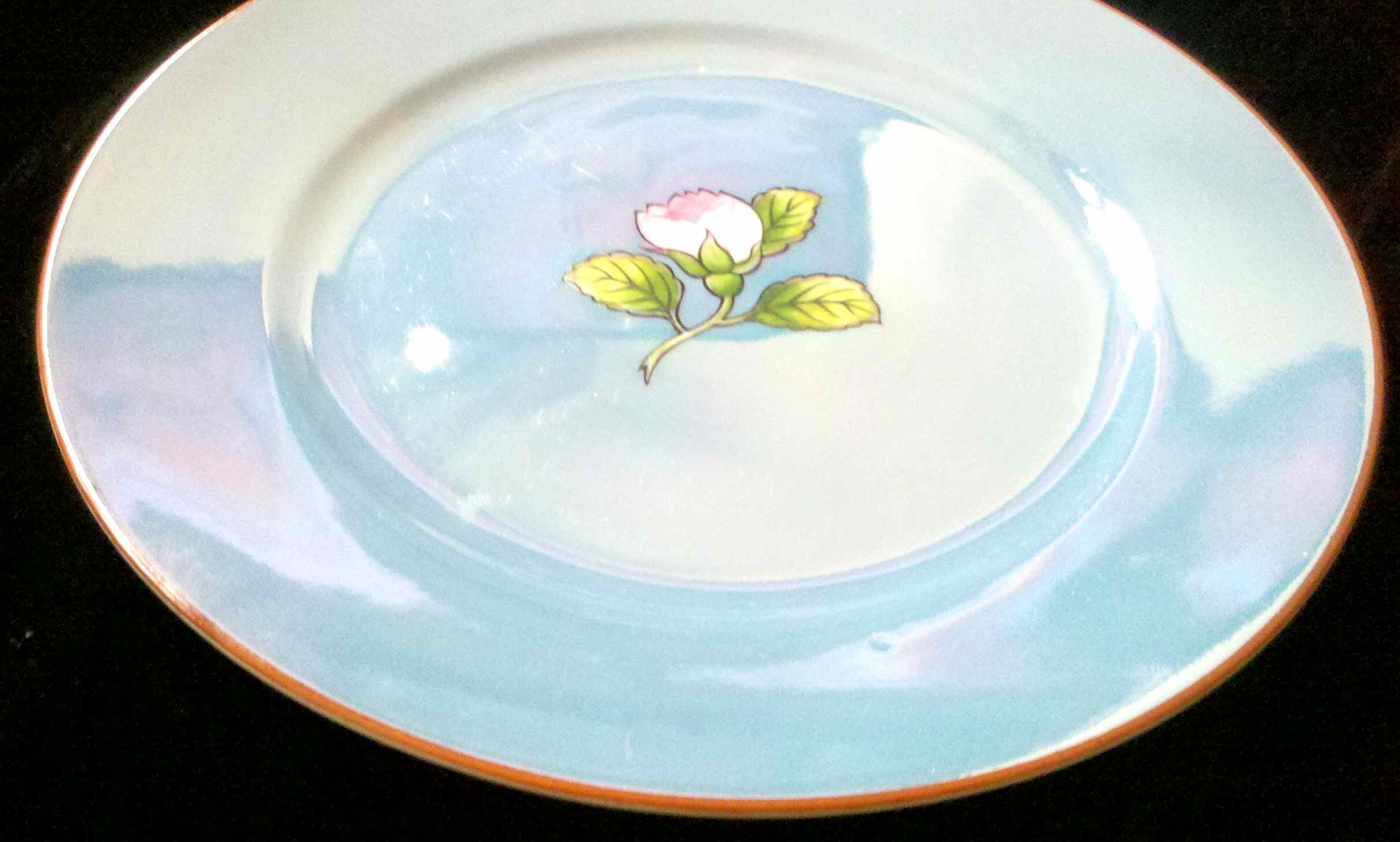 N3580 Dinner Plate by Noritake-1