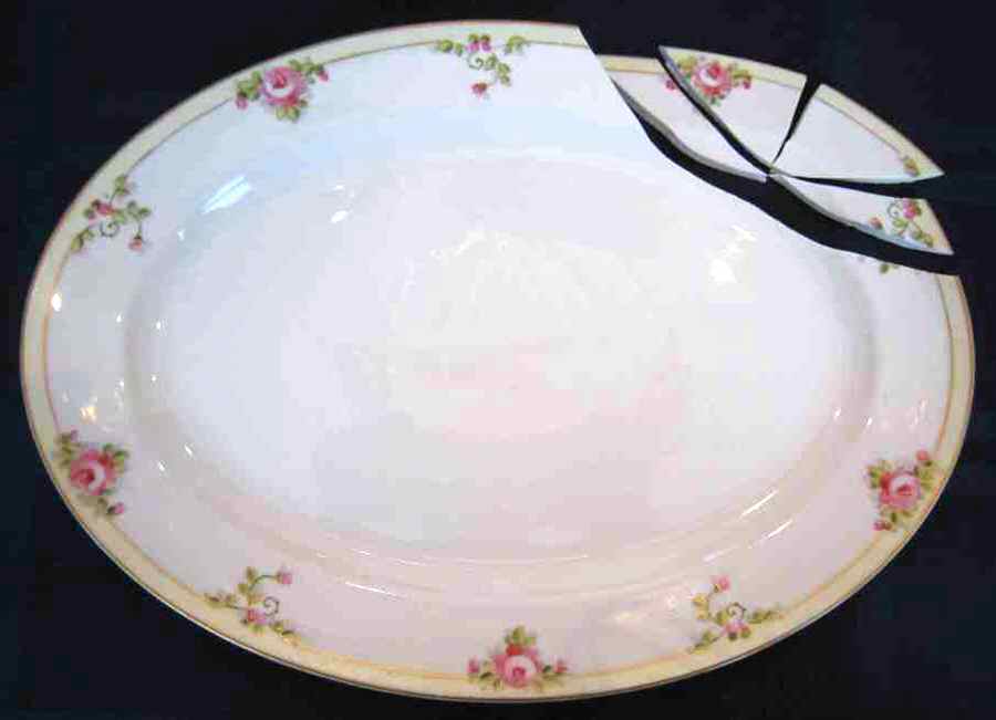 NIP221 12" Oval Serving Platter by Nippon-1
