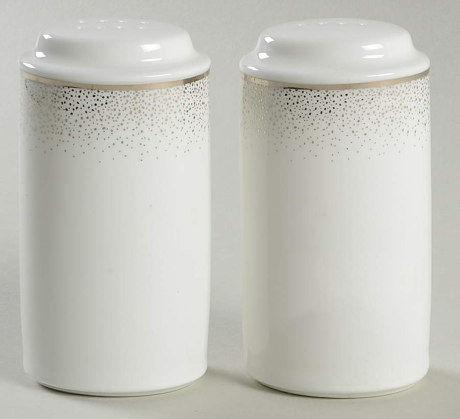 Alana Platinum Salt & Pepper Set by Noritake-1