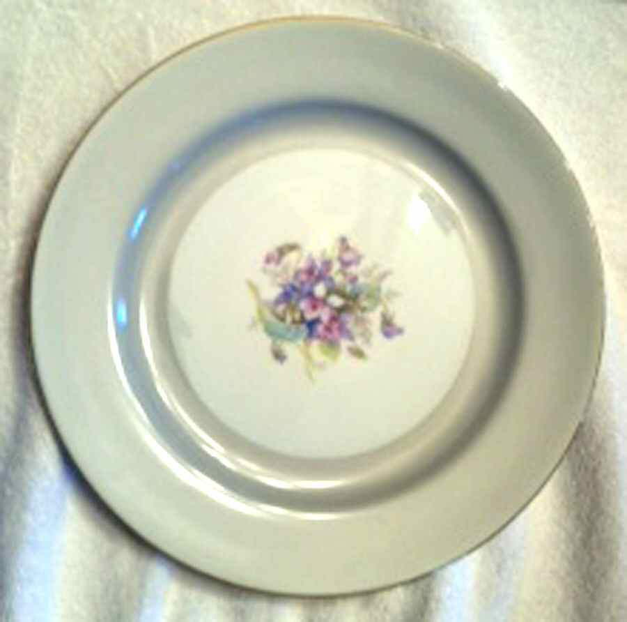 N3557 Dinner Plate by Noritake-1
