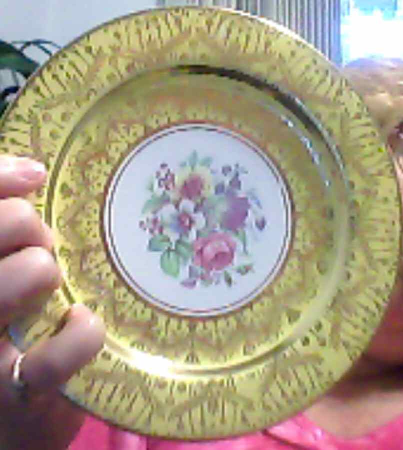 NAC23 Dinner Plate by Nasco China (USA)-1