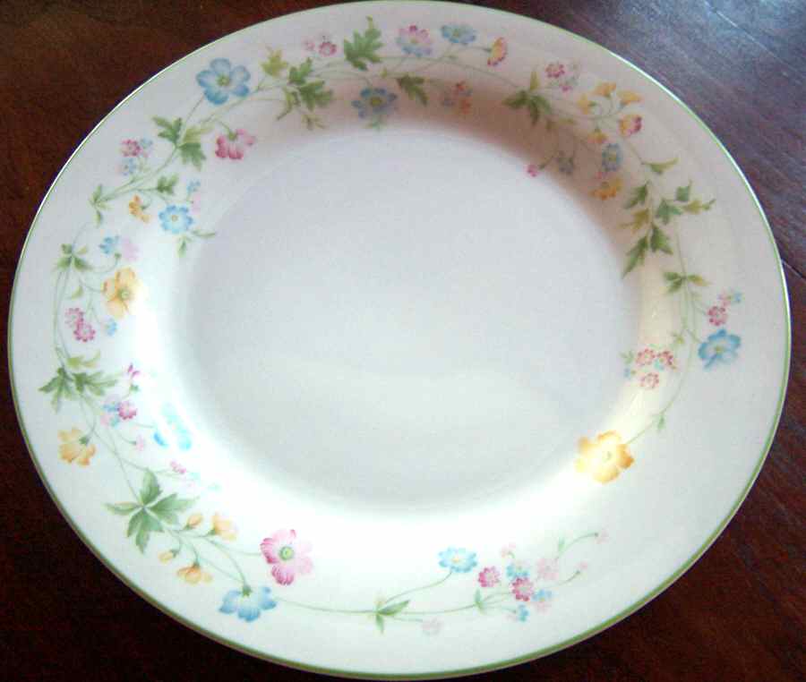 Cirque Dinner Plate by Nitto-1