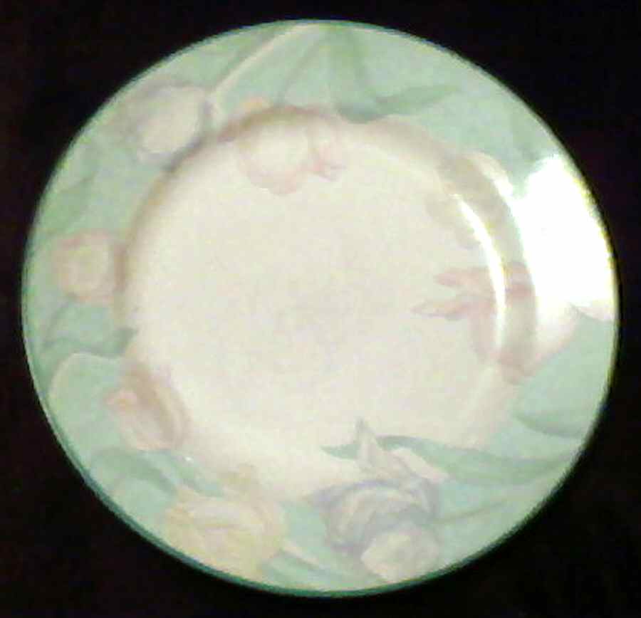 Chlora Salad Plate by Newcor-1