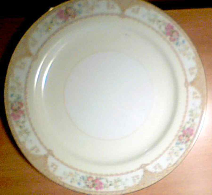 N3884 Dinner Plate by Noritake-1