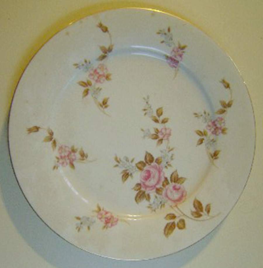N3887 Dinner Plate by Noritake-1