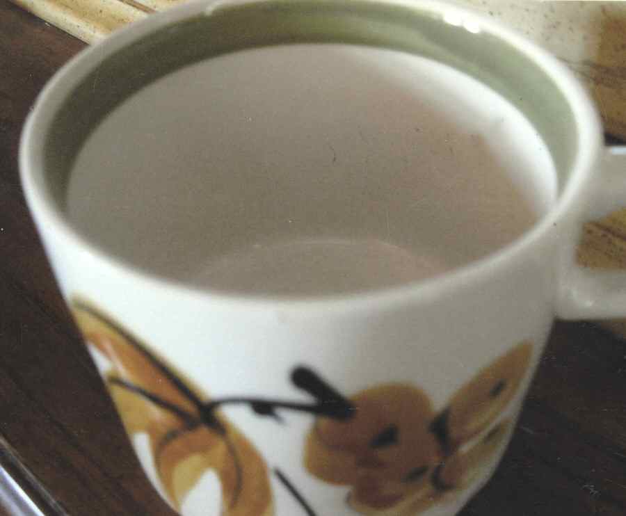 Flower Canyon Flat Cup by Nasco (Japan)-1
