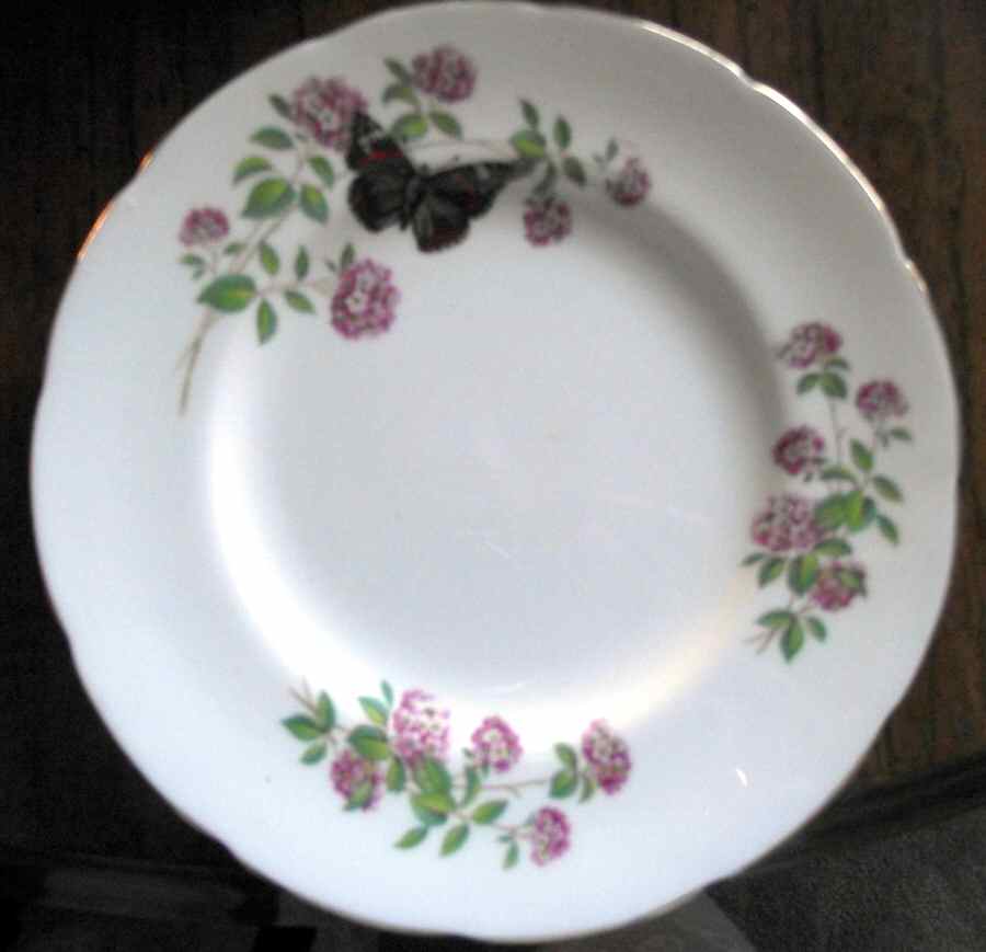 NCL25 Salad Plate by New Chelsea-1