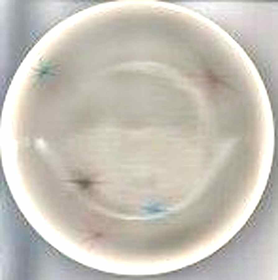 Starlite Fruit/Dessert (Sauce) Bowl by Nasco China (USA)-1