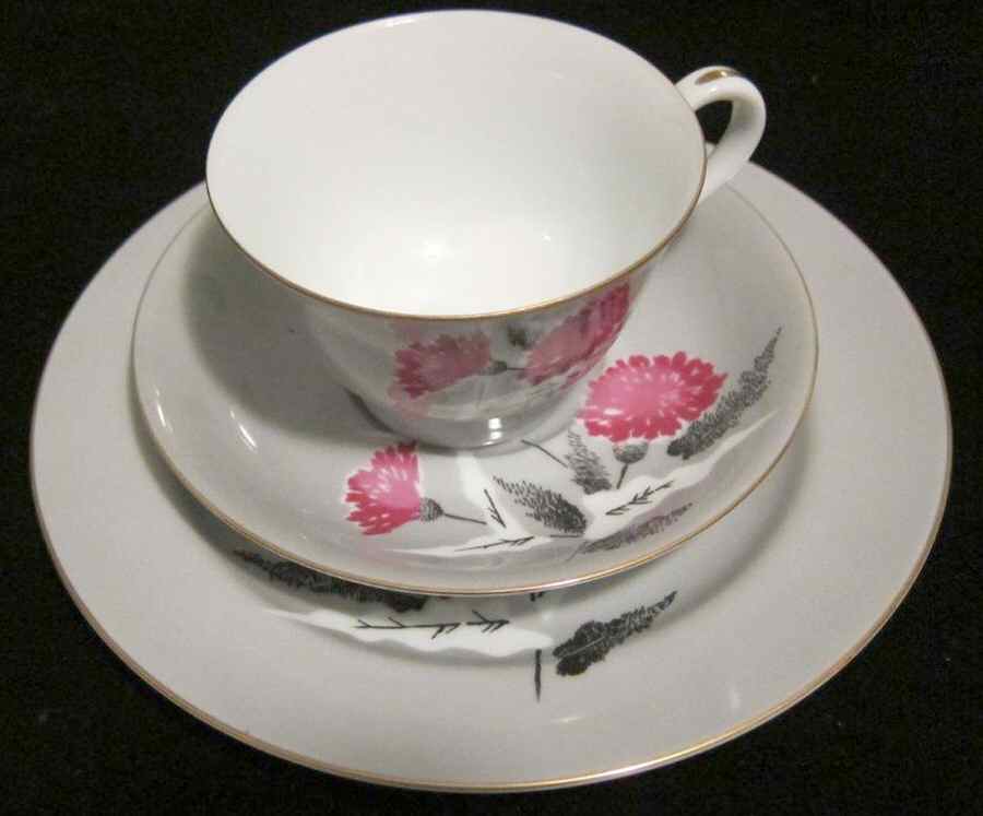 N3931 Footed Cup & Saucer Set by Noritake-1