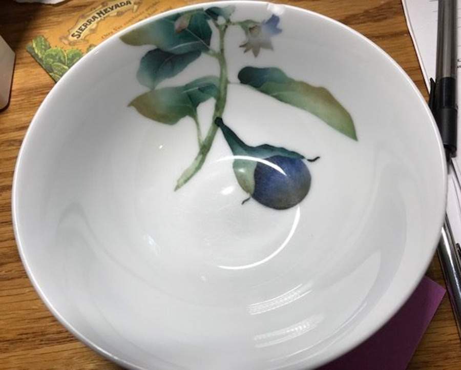 Kyoka Shunsai Soup/Cereal Bowl by Noritake-1