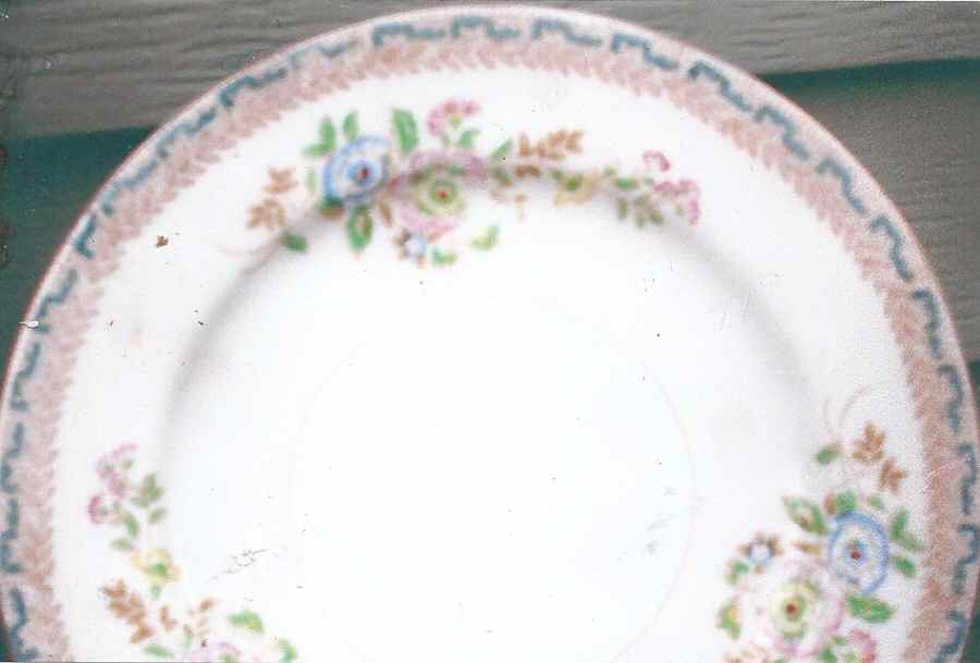 NAT63 Dinner Plate by National China-1