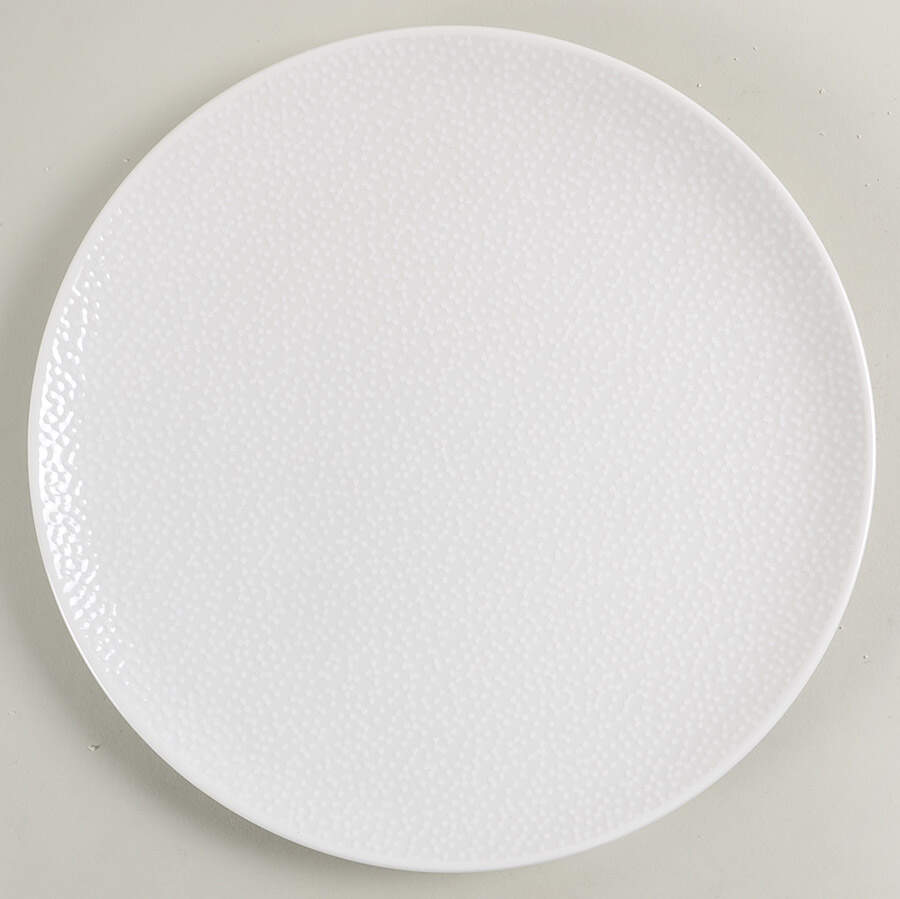 WoW Snow Dinner Plate by Noritake-1