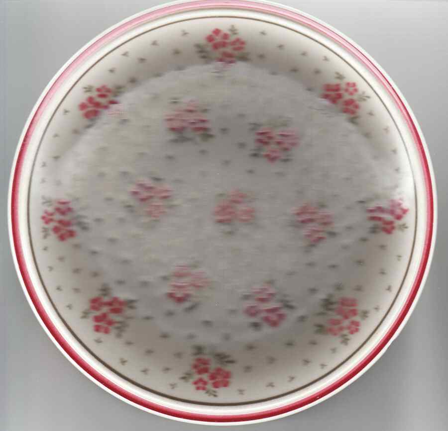 Country Field Red Dinner Plate by Newcor-1