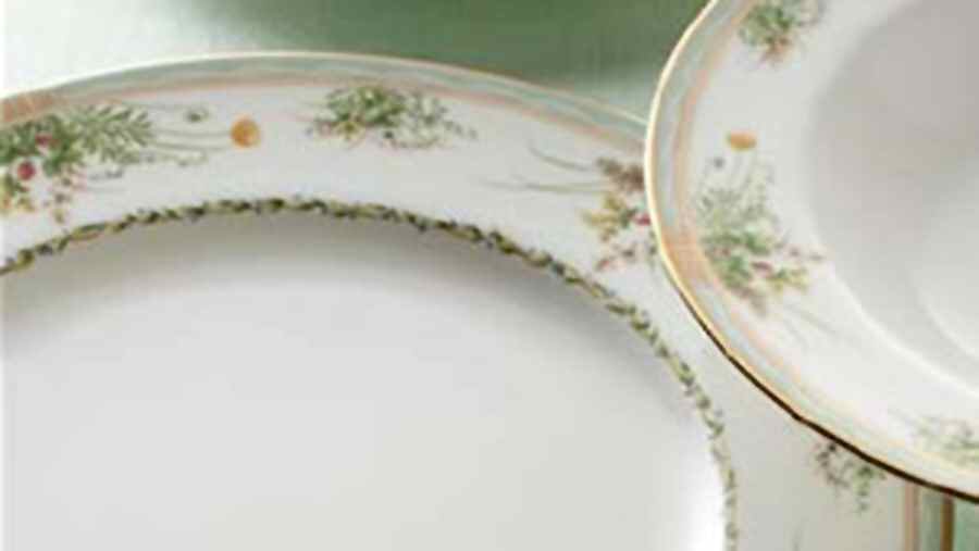Toscana Garden Dinner Plate by Noritake-1