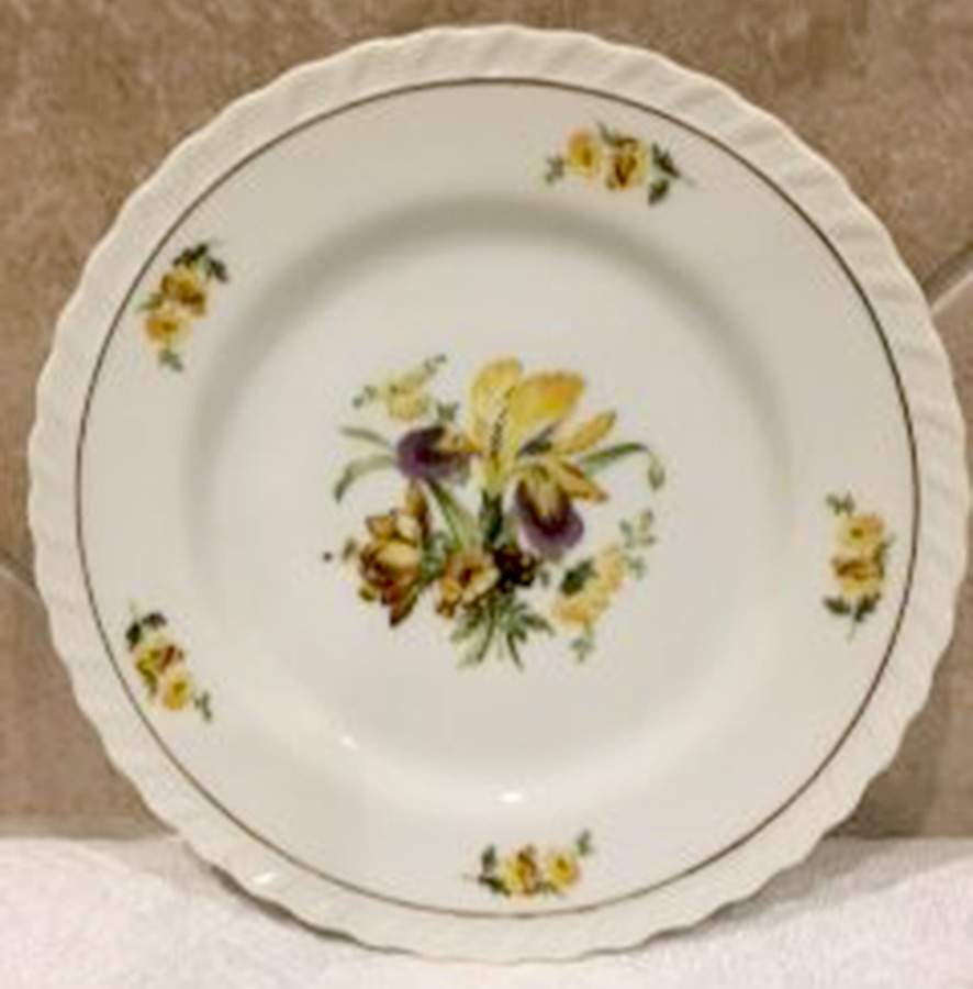 NEF5 Dinner Plate by Newfields (Japan)-1