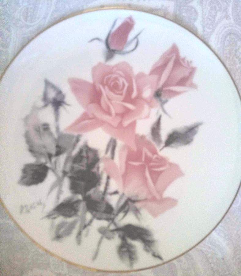 N4096 Dinner Plate by Noritake-1