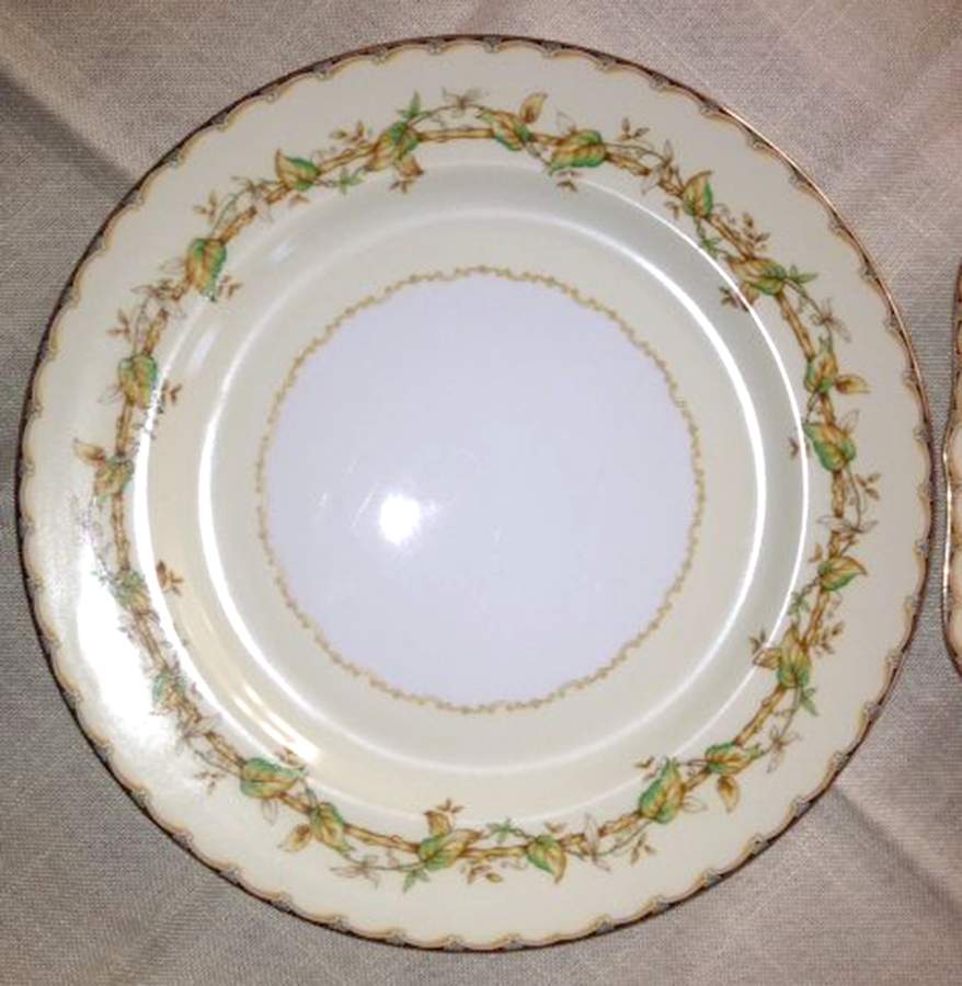 N4138 Dinner Plate by Noritake-1