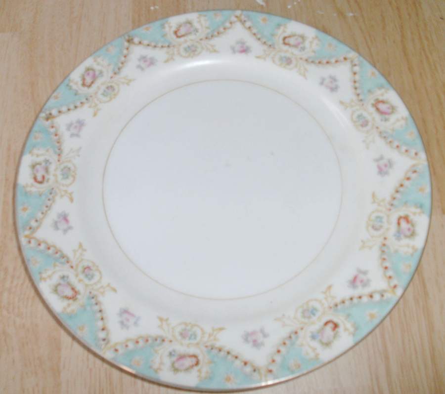 NAS23 Dinner Plate by Nasco (Japan)-1