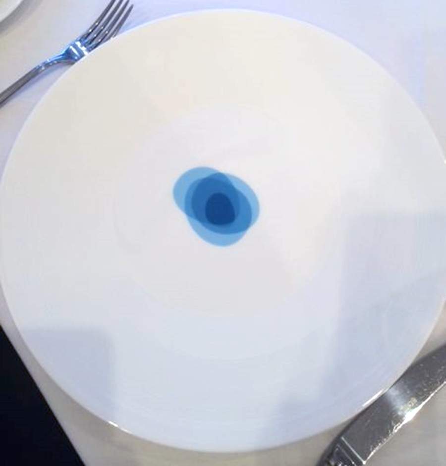 NIK121 Dinner Plate by Nikko-1