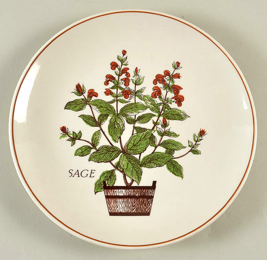 Herbs Salad Plate by Nelson Lebo-1