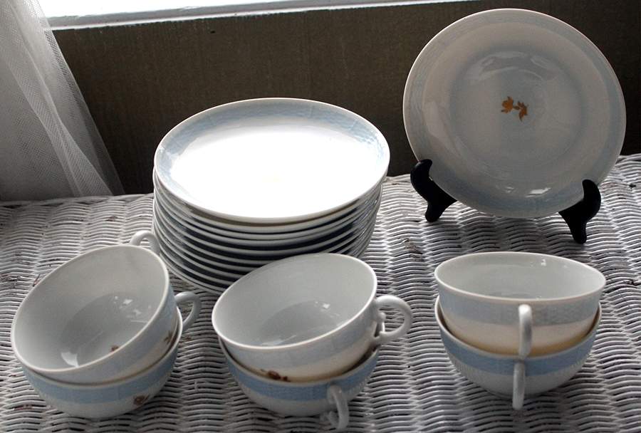NYM33 Flat Cup & Saucer Set by Nymphenburg-1