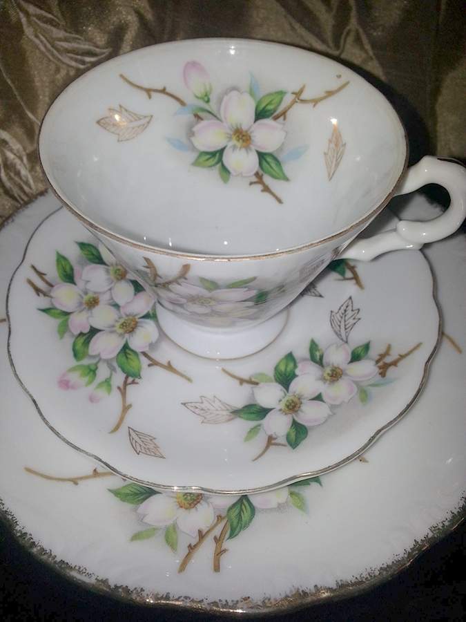 Dogwood Footed Cup & Saucer Set by Norcrest-1