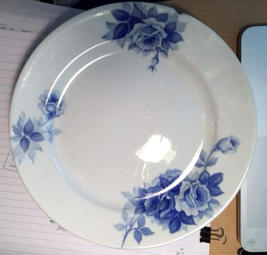 N4553 Dinner Plate by Noritake-1