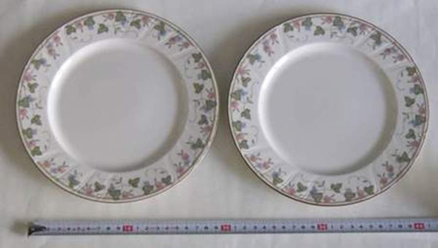 Viny Song Dinner Plate by Noritake-1