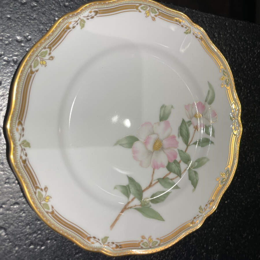 Gala Contessa Salad Plate by Noritake-1