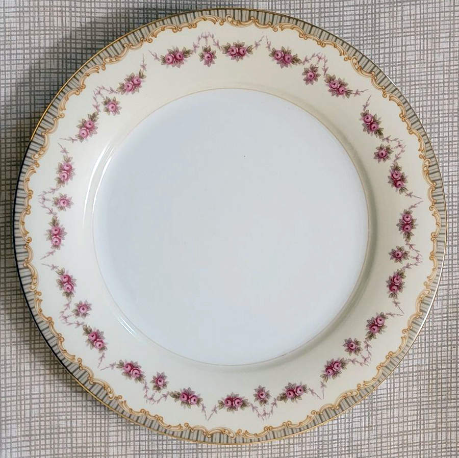 N4365 Dinner Plate by Noritake-1