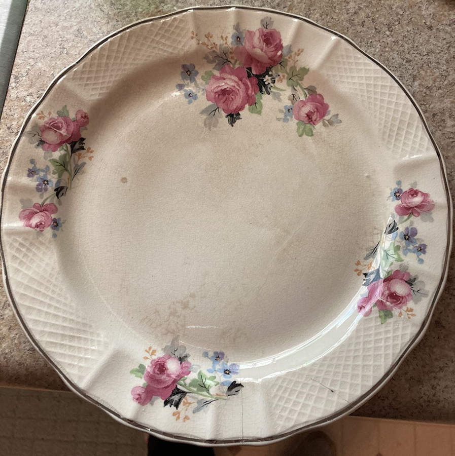 Primrose Dinner Plate by Nasco China (USA)-1