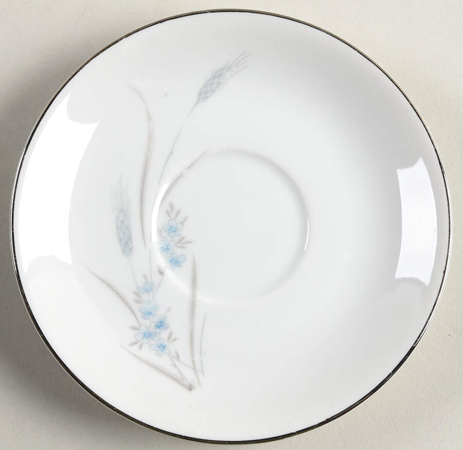 NRA8 Saucer by Nagara-1
