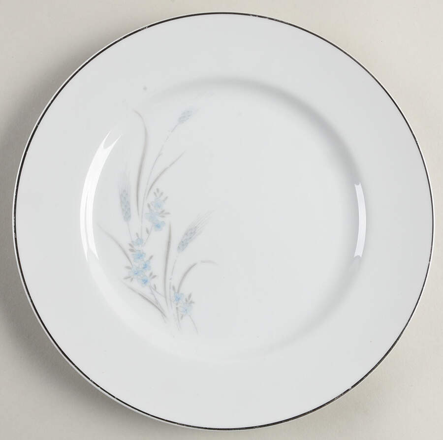NRA8 Dinner Plate by Nagara-1