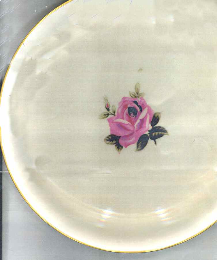 Rosina Dinner Plate by O'Hara China-1
