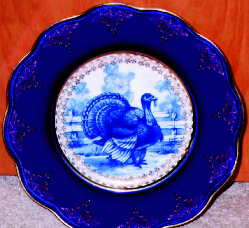 OHI1 Dinner Plate by Ohio China -1