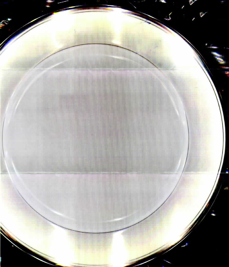 Virginia Dinner Plate by Oakland-1