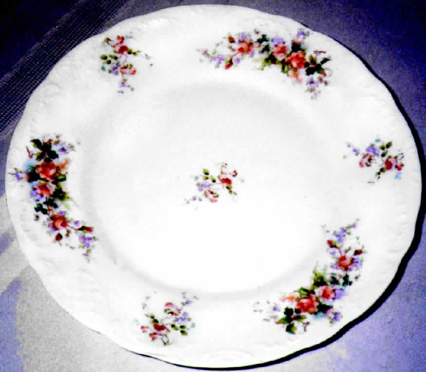 OLN1 Dinner Plate by Orleans-1