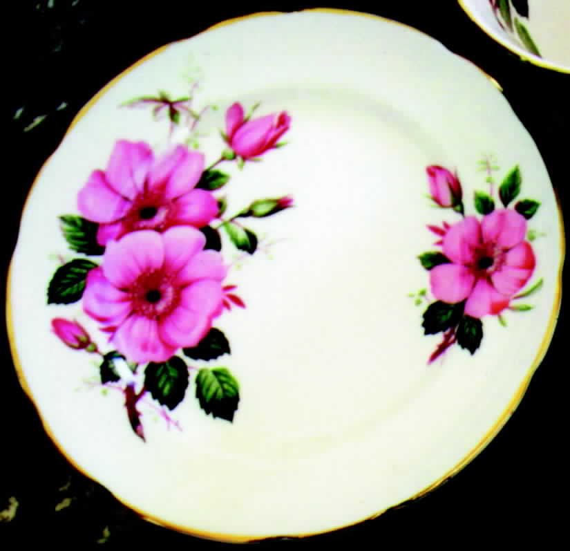 OLR1 (ENGLAND) Dinner Plate by Old Royal (England)-1