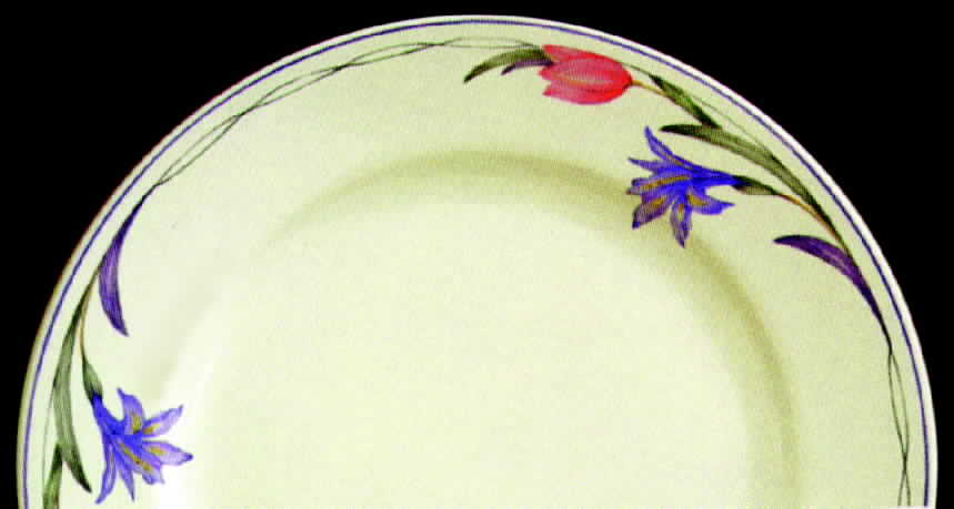 Garden Delight Dinner Plate by Oneida-1