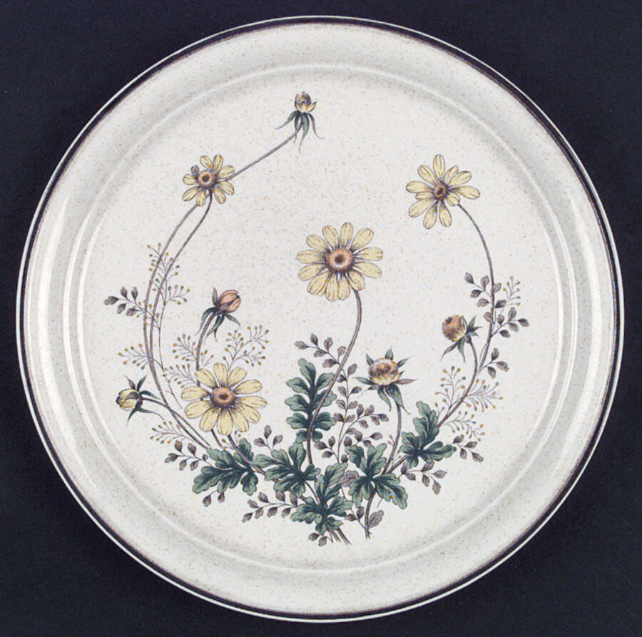Greenbrier Dinner Plate by Oneida-1