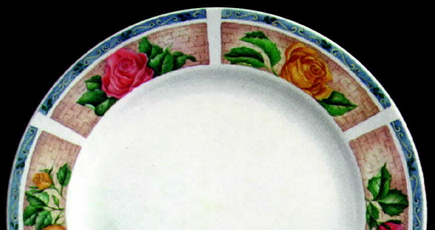 Memories Dinner Plate by Oneida-1
