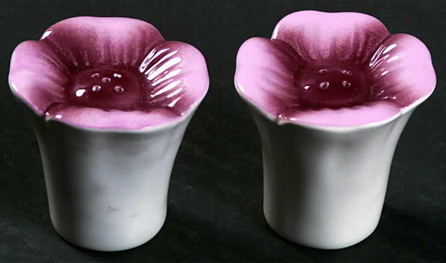 Dogwood Pink Salt & Pepper Set by Orchard-1