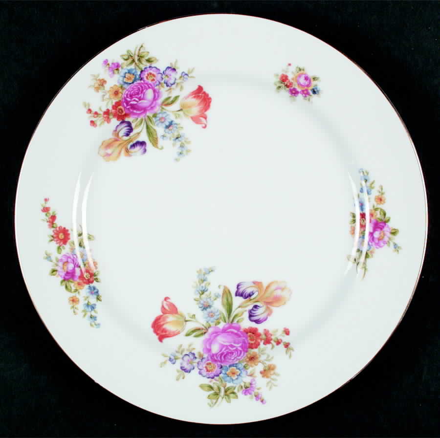 ORI6 Dinner Plate by Orion (Japan)-1